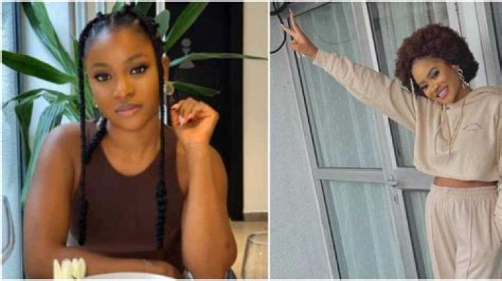 
BBNaija S7: Biggie Replies Daniella After She Requested A Grape In Her Diary Session 