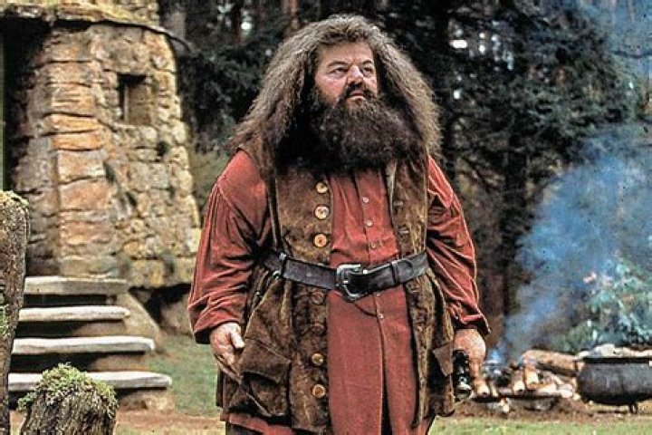 
Hagrid Actor Cause of Death, How did Hagrid Actor Die? 