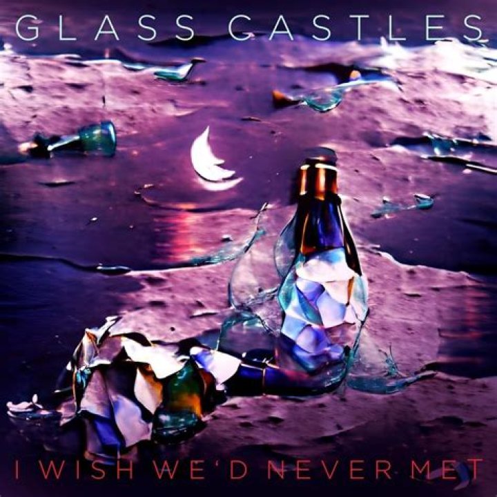 I Wish We Never Met TikTok Song and Lyrics Explained And All Details