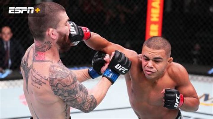 Nikolas Motta Height, Weight, Net Worth, Age, Birthday, Wikipedia, Who, Instagram, Biography