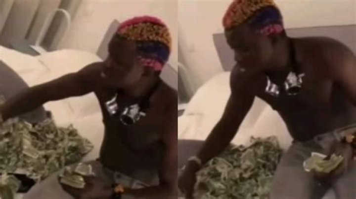 
Portable Zazu Has Mocked Graduates Who Have Shamed Him 