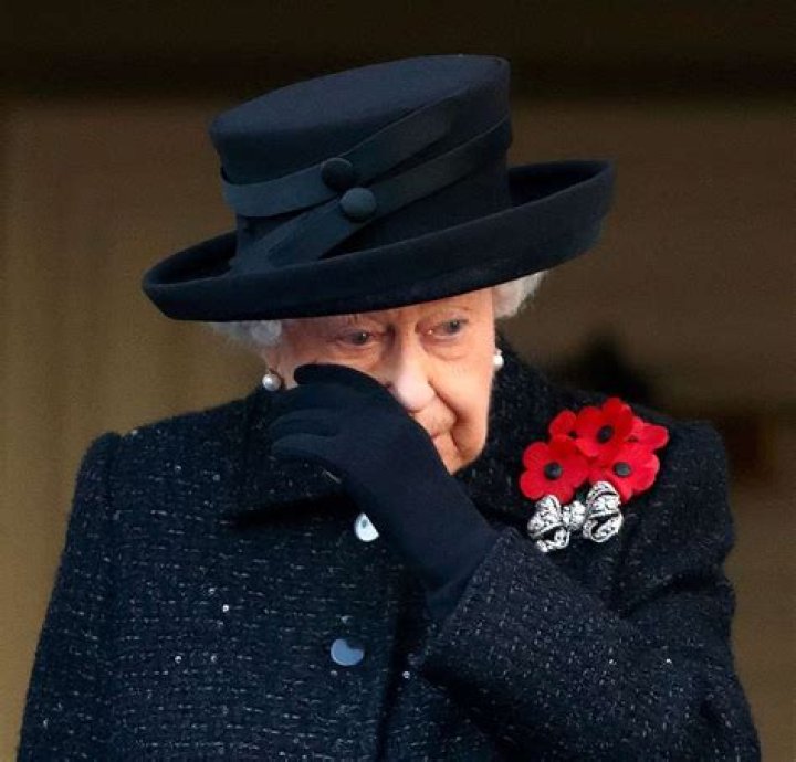 
Queen Elizabeth’s History with Remembrance Day, as Royals Prepare to Mark Occasion Without Her 