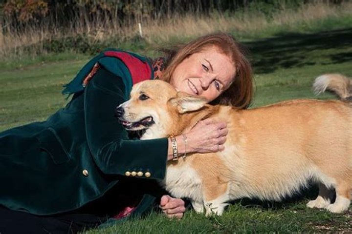 
Sarah Ferguson Says Queen Elizabeth’s Corgis ‘Balance Out’ with Her Other Dogs: ‘A Big Honor’ 