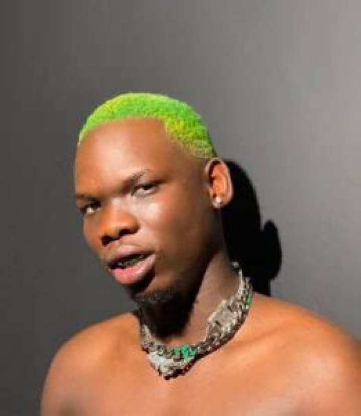 
Sihle Sithole aka Blxckie Age, Birthday, Wikipedia, Who, Nationality, Biography 