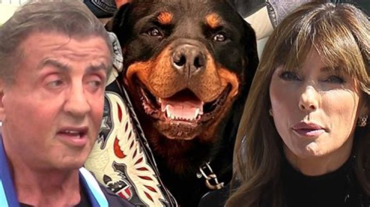 
Sylvester Stallone Says ‘I Will Always Love’ Jennifer Flavin Amid Divorce Filing, Dog Didn’t Cause Split 