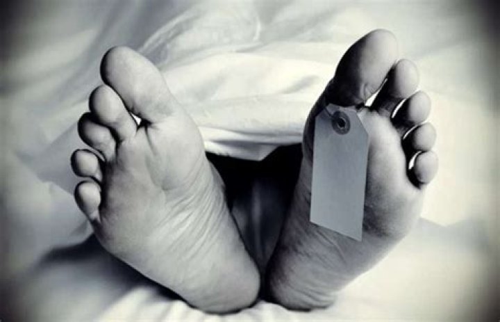 Who Are Breana And David Tilley? Details About The Colorado Springs Murder Suicide Case